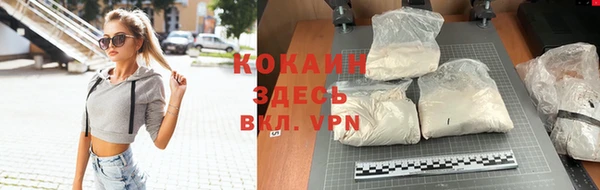 ПСИЛОЦИБИНОВЫЕ ГРИБЫ Верхний Тагил