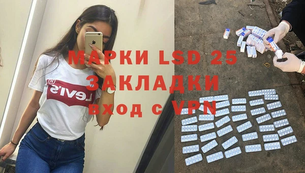 ПСИЛОЦИБИНОВЫЕ ГРИБЫ Верхний Тагил
