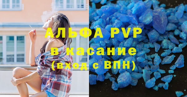 СК Волоколамск