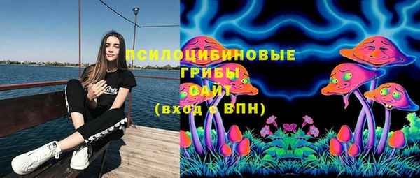 хмурый Волосово