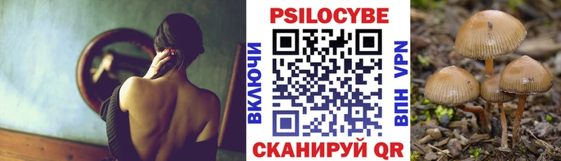 закладки Вытегра Псилоцибиновые грибы GOLDEN TEACHER